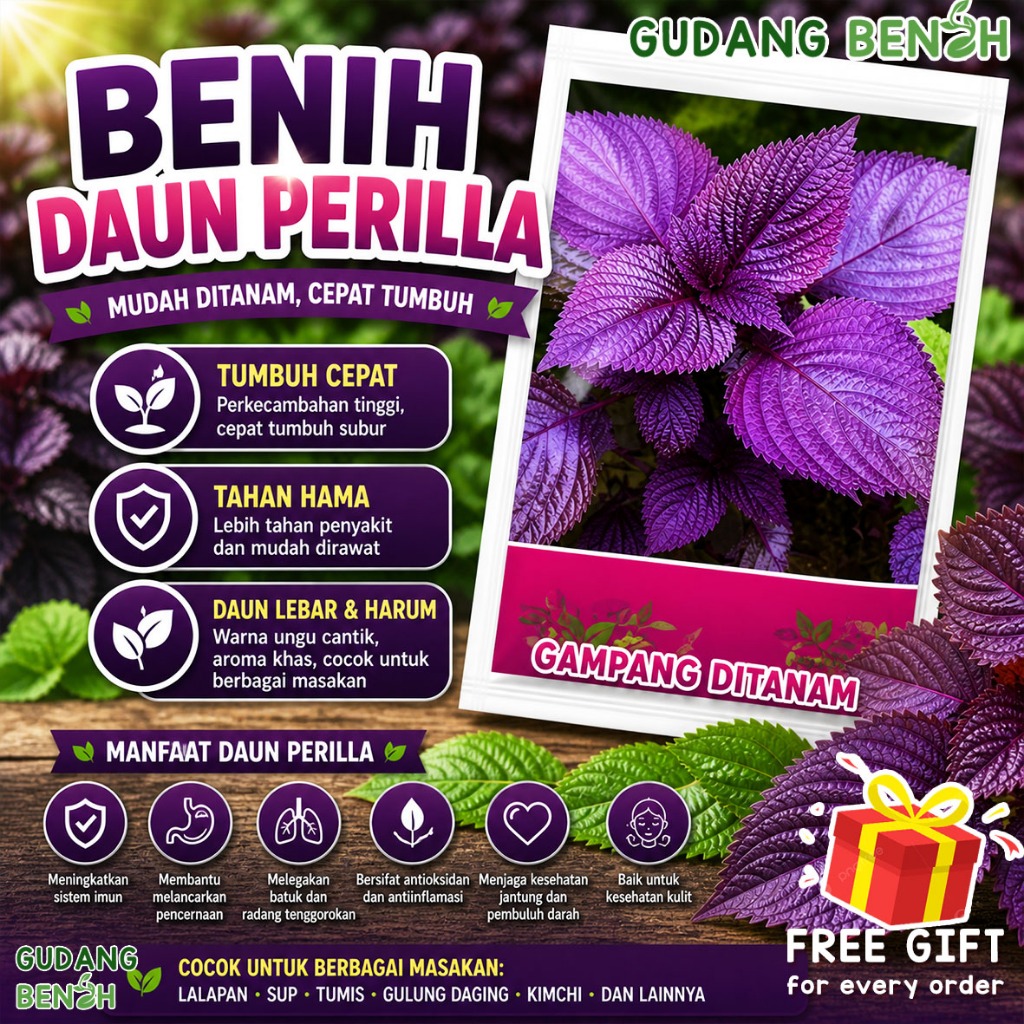 Bibit Sayuran / Bibit Tanaman Sayuran Lengkap / Tanaman Daun Perilla Berkualitas Isi 1000 Benih