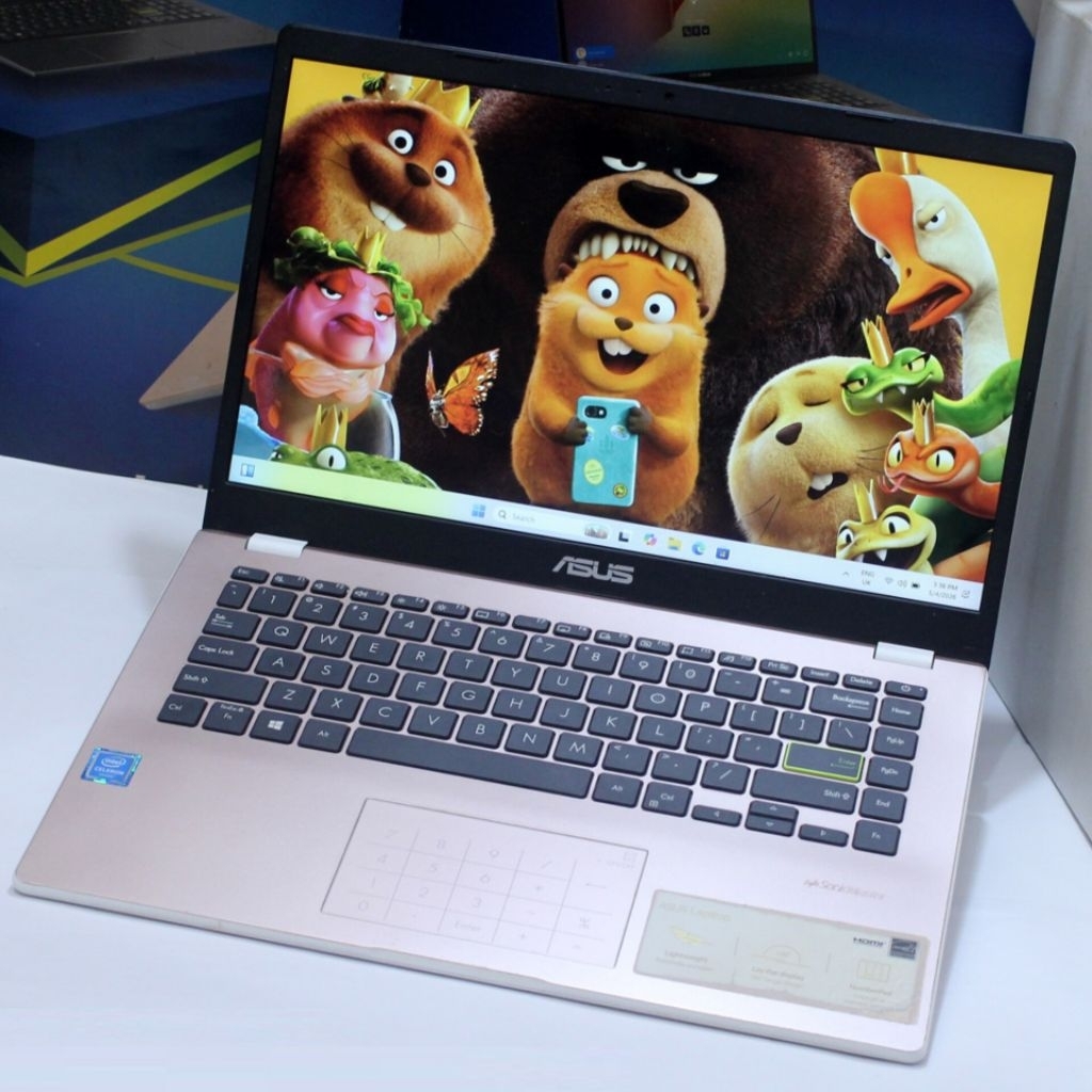 Asus E410M Celeron N4020 SSD 256GB
