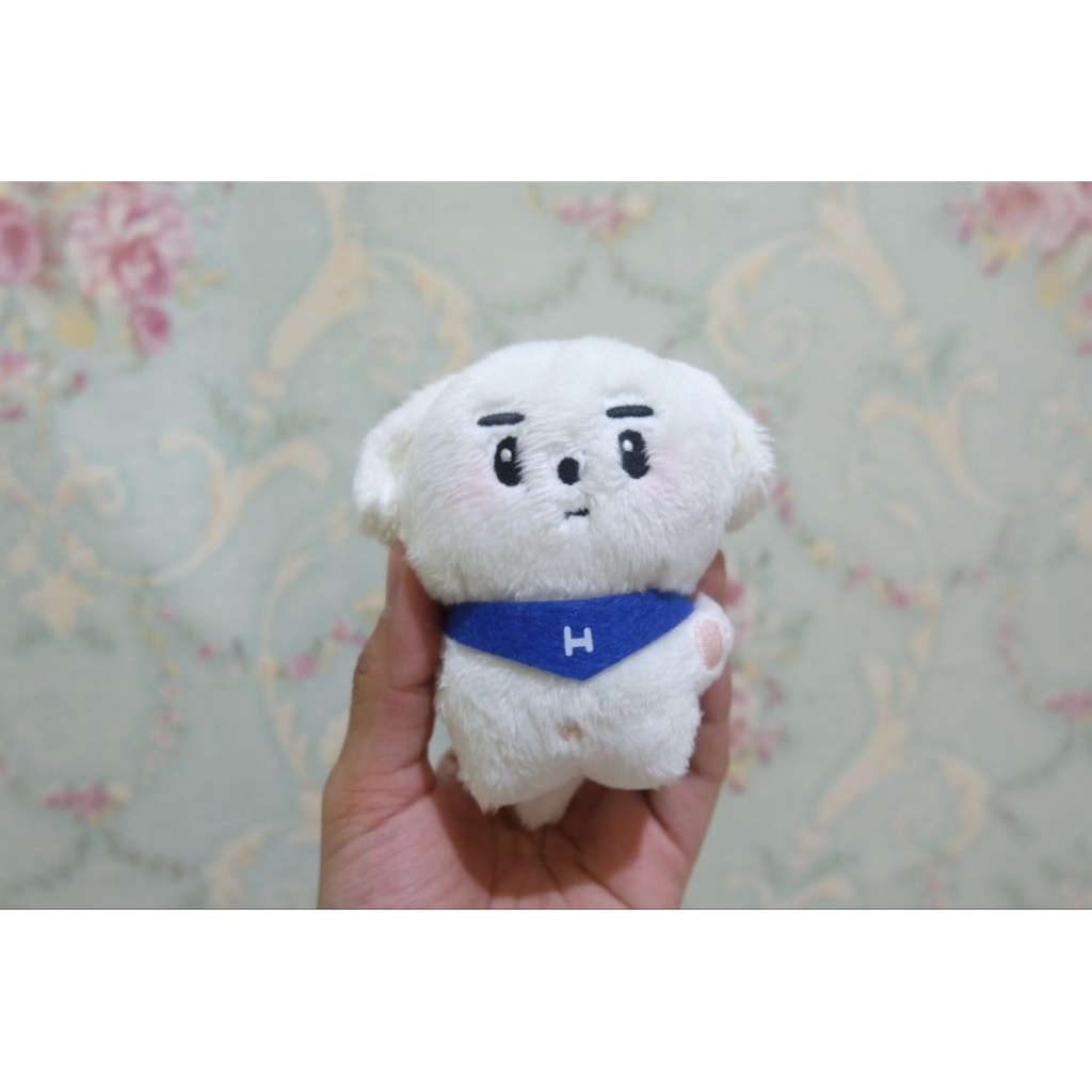 Park Hans (sunghoon doll)