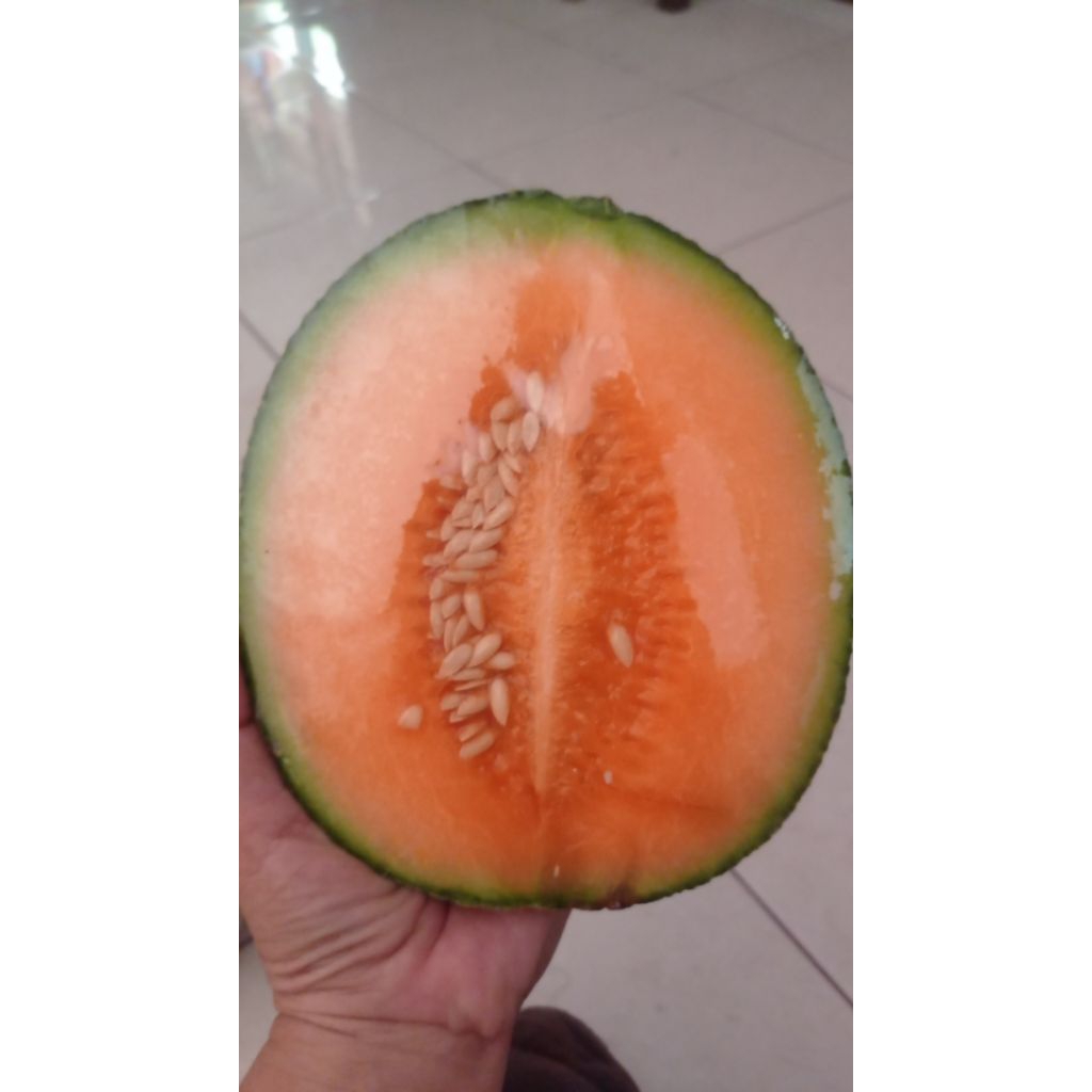 Melon Organik Cantaloupe Potong