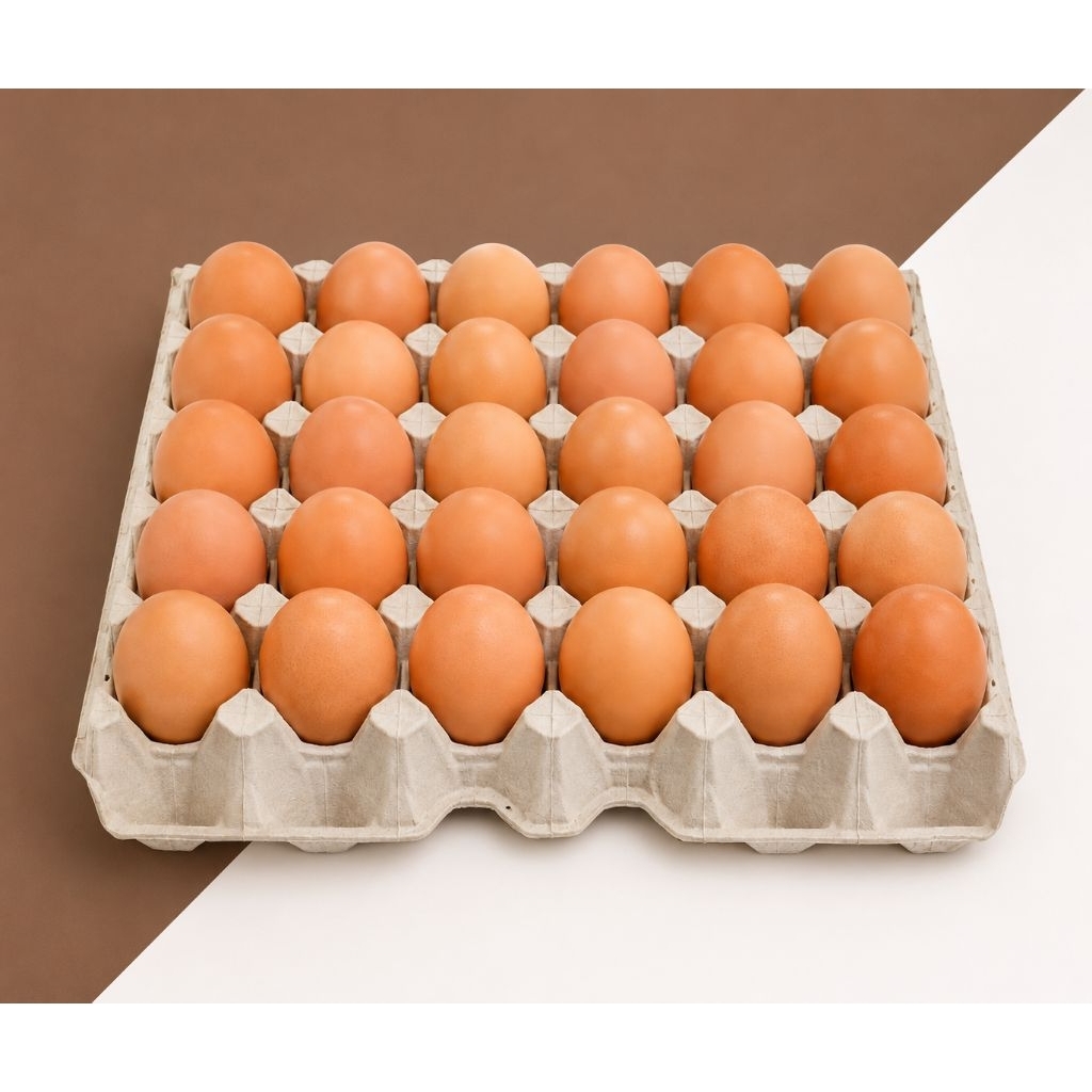 Telur Ayam 1 Krat Tanggung