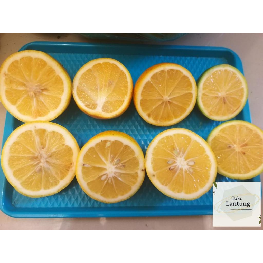 BUAH JERUK LEMON CALIFORNIA LOKAL 1 KG 1000 GR g