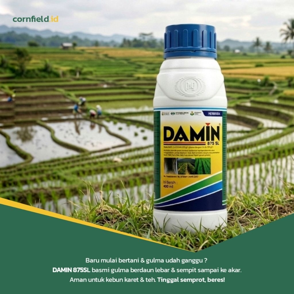 HERBISIDA SISTEMIK DAMIN 875 SL 400 ML