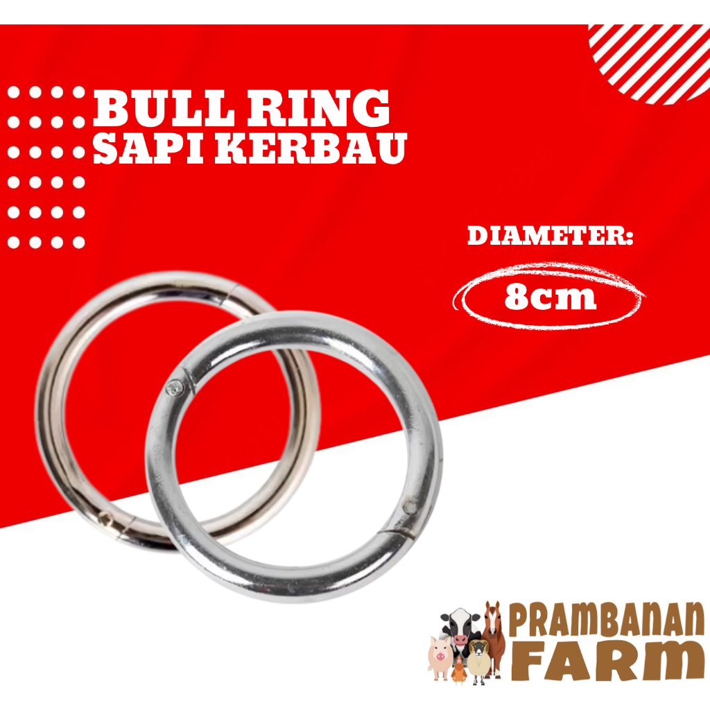 Cincin Ring Stainless Untuk Hidung Sapi Lembu Kerbau