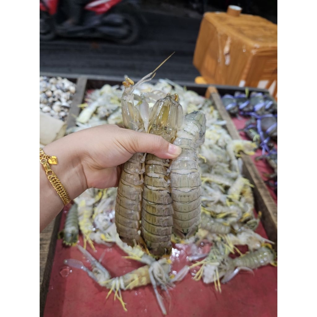 UDANG MANTIS FRESH FROZEN