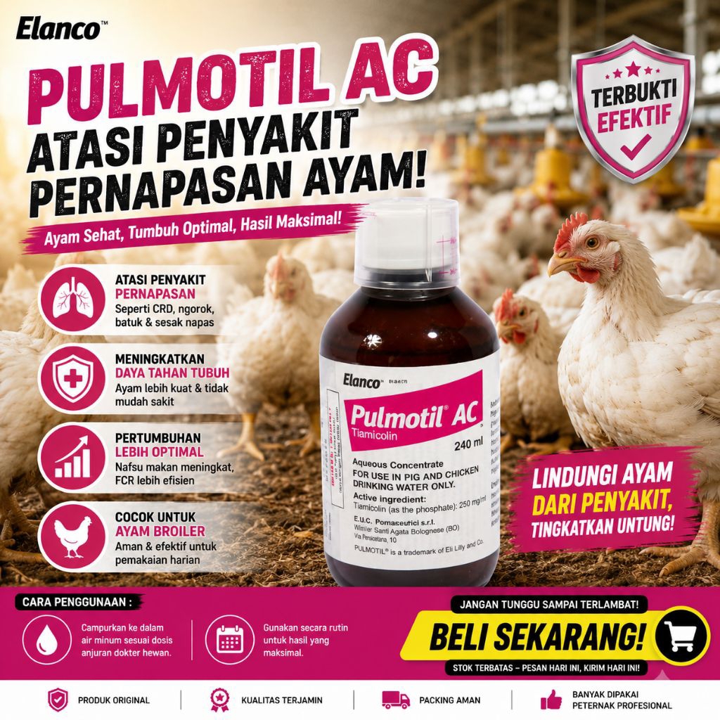 Anti Ayam Ngorok CRD Sesak Nafas | Antibiotik Ayam Broiler Paling Ampuh