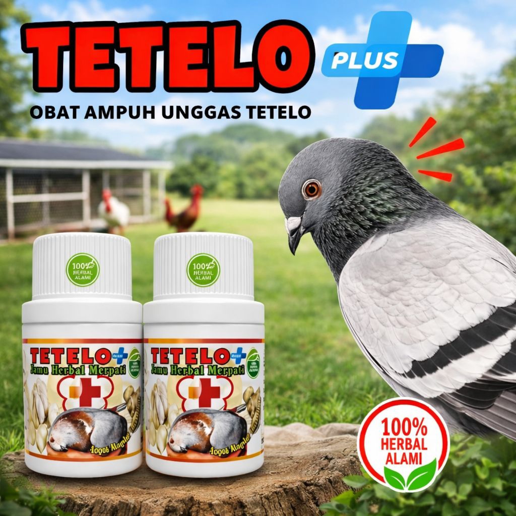 100 BUTIR OBAT AMPUH TETELO MERPATI TETELO PLUS paling ampuh sembuh dalam 1 Minggu