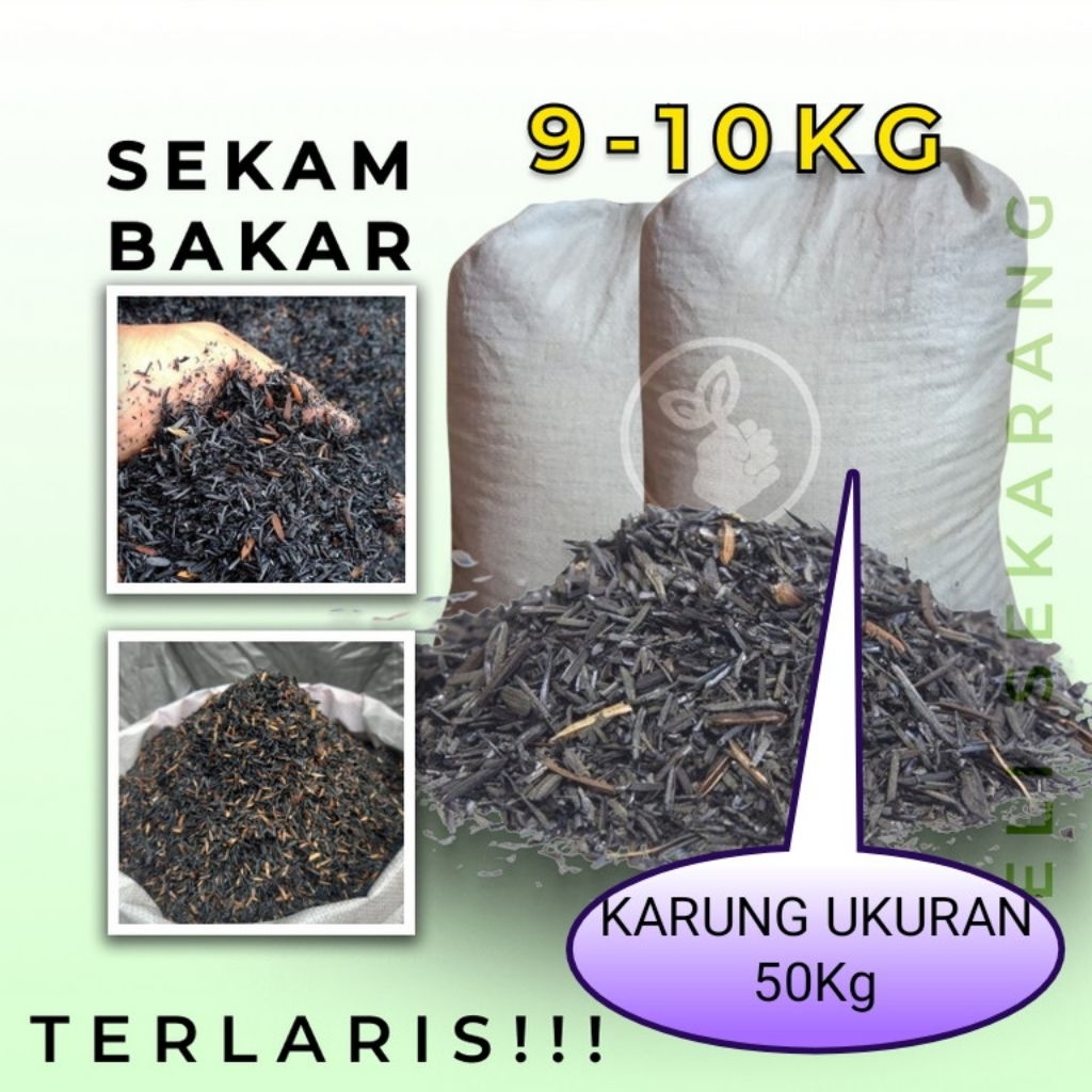 JUAL SEKAM BAKAR 1 KARUNG SEKAM BAKAR KARUNGAN KHUSUS INSTANT