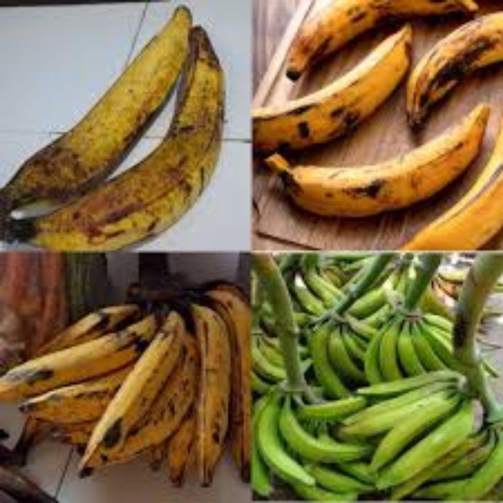 Pisang tanduk per pcs-pisang tanduk