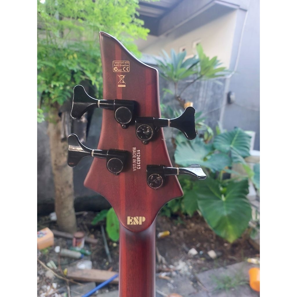 bass elektrik LTD by ESP