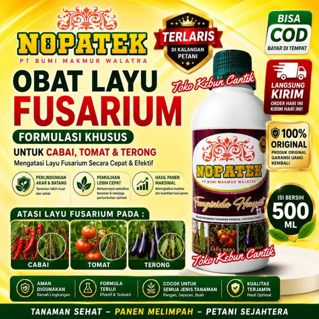Tanaman Cabai Rawit Layu & Busuk Akar? NOPATEK Favorit Petani | Terlaris