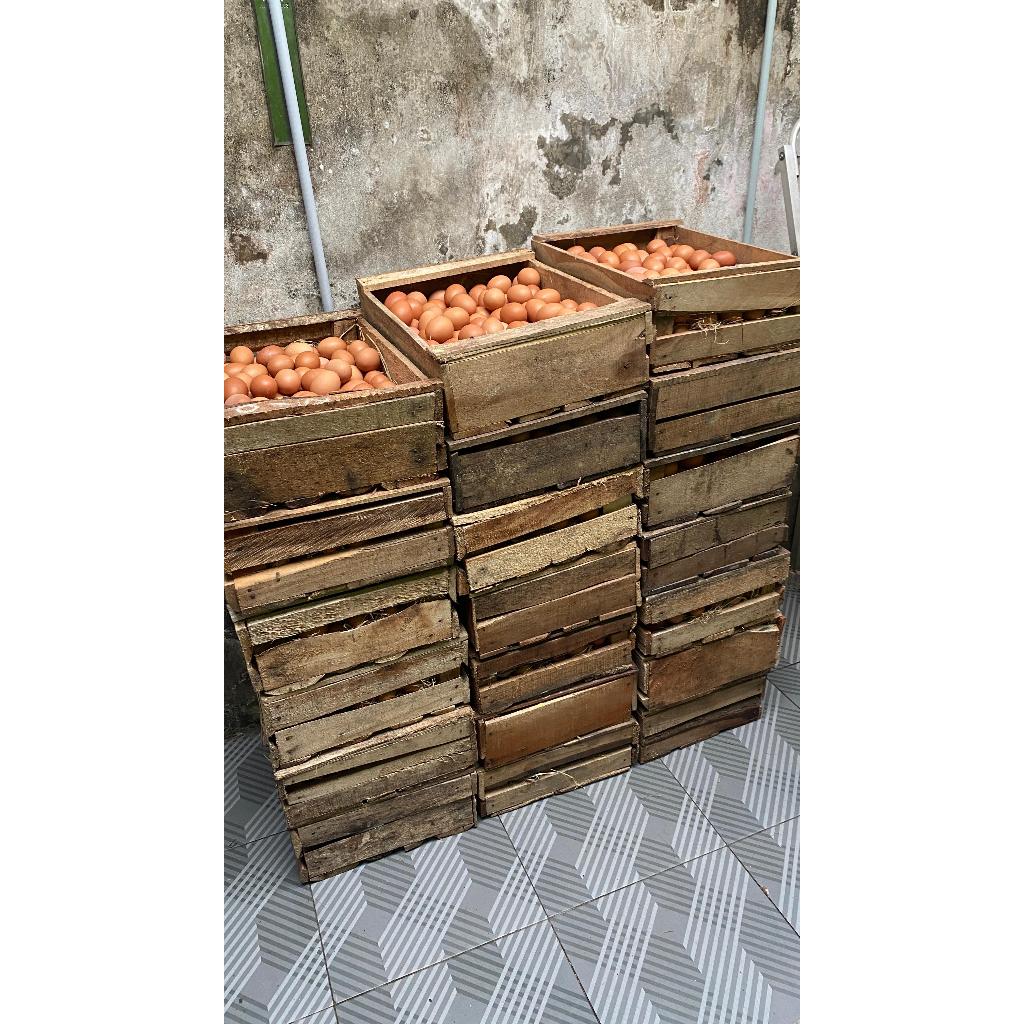TELUR AYAM NEGRI