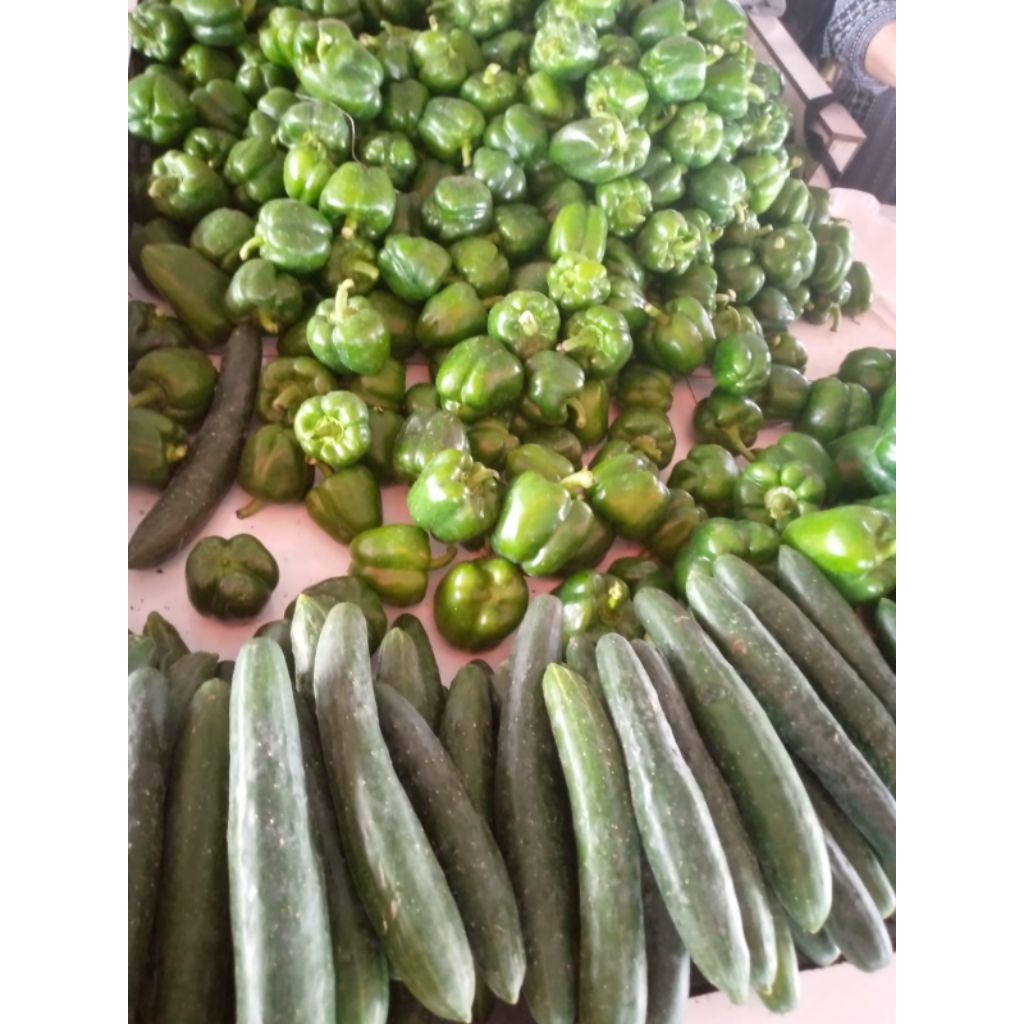 Cabe Paprika fresh sayuran segar Bandung