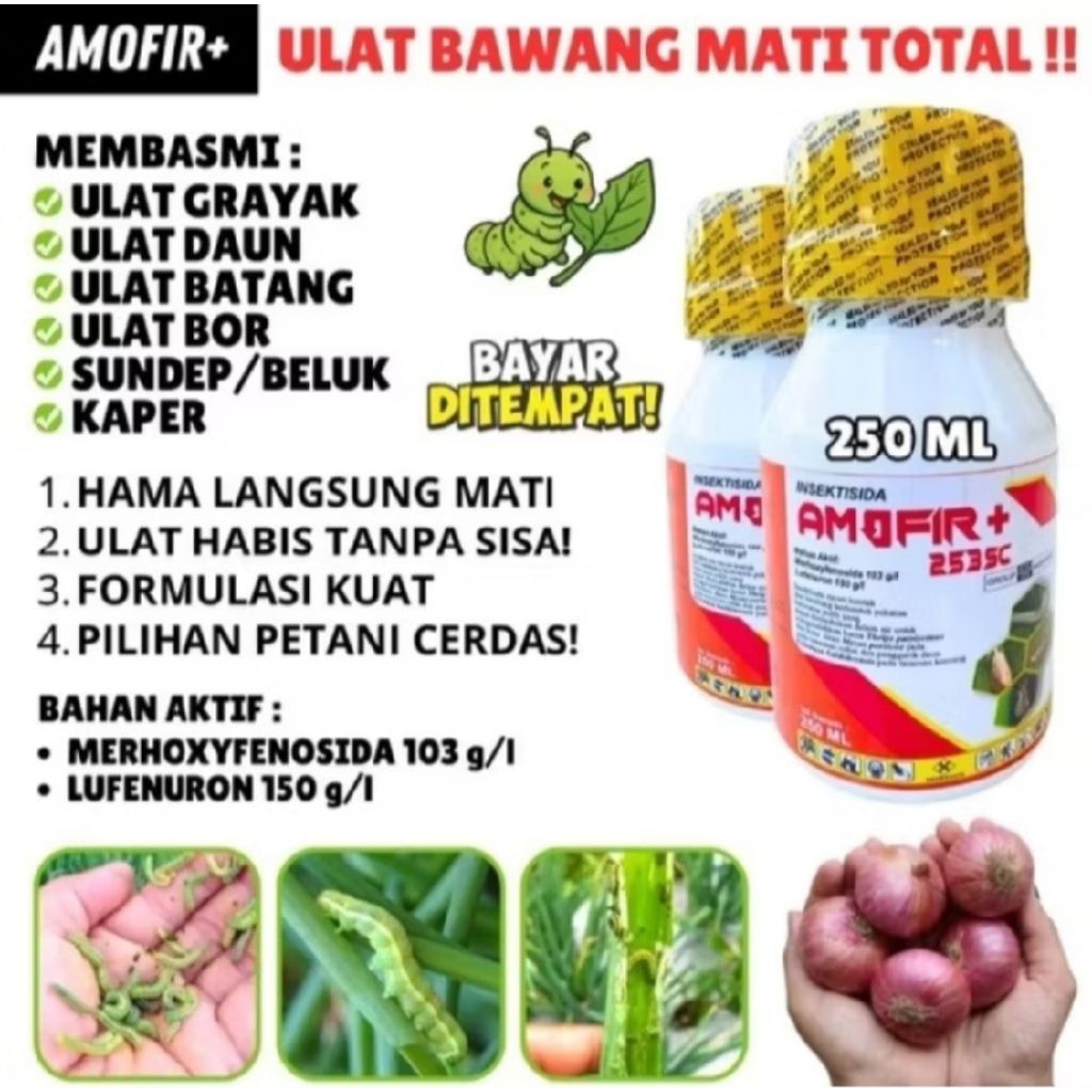 INSEKTISIDA AMOFIR+ ULAT MATI TOTAL RACUN ULAT GRAYAK INSEKTISIDA SISTEMIK PEMBASMI HAMA ULAT PALING