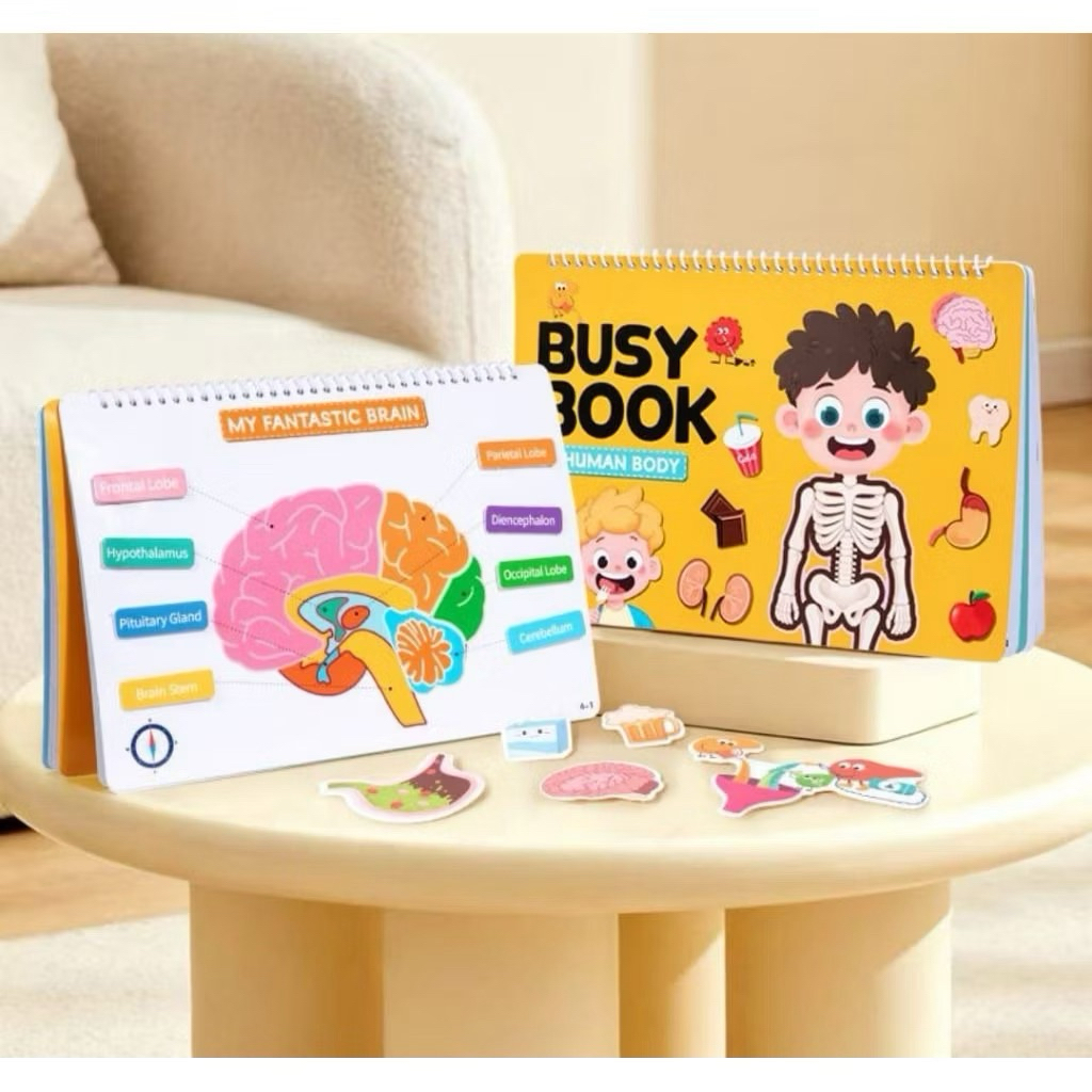 Busy Book Human Body