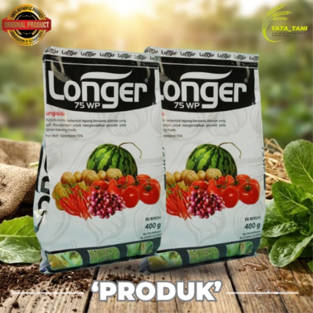 LONGER 75 WP 400GR FUNGISIDA:KLOROTALONIL
