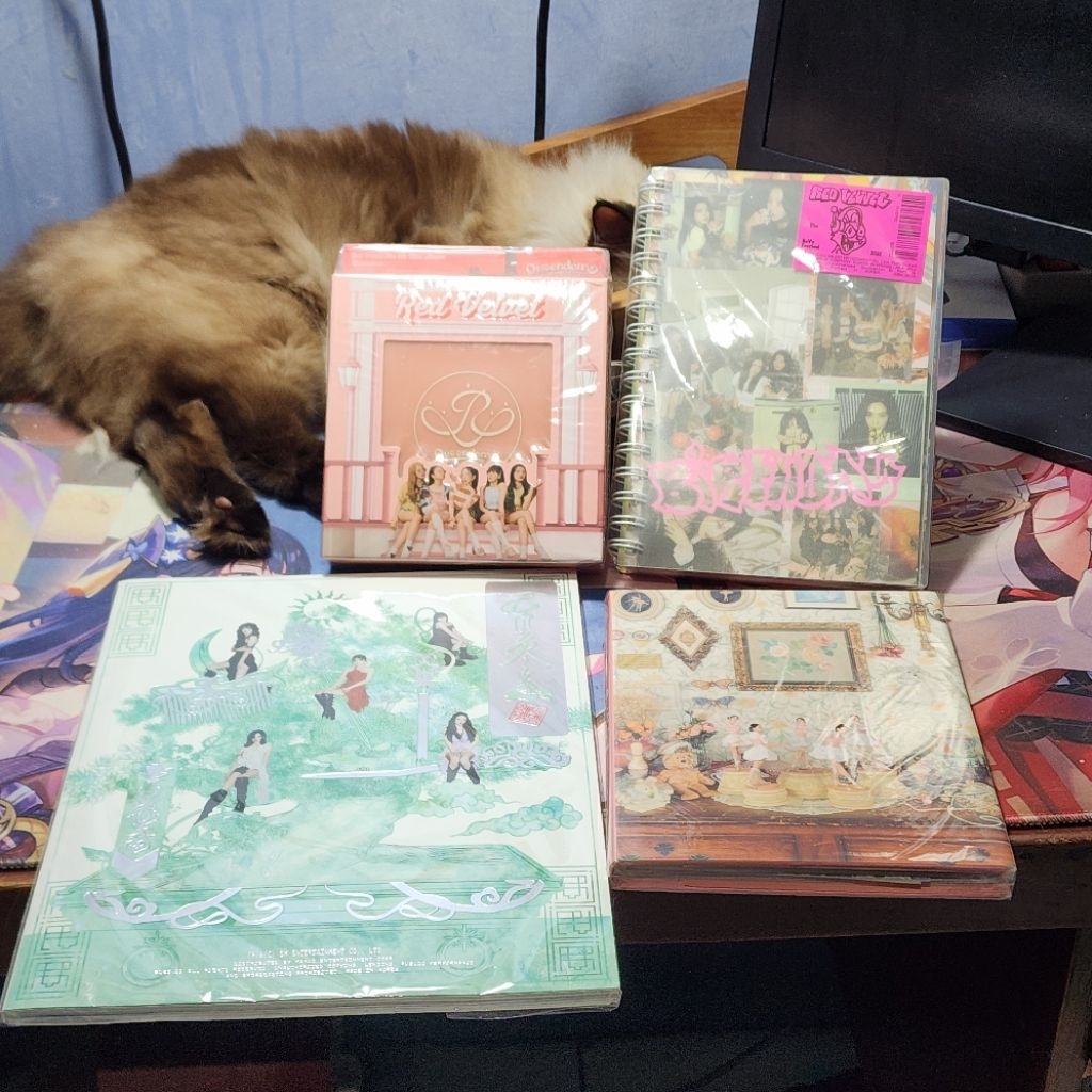 [Pre-Loved] Album Red Velvet Queendom Chill Kill Birthday Feel My Rhythm Photocard PC Wendy Seulgi Y