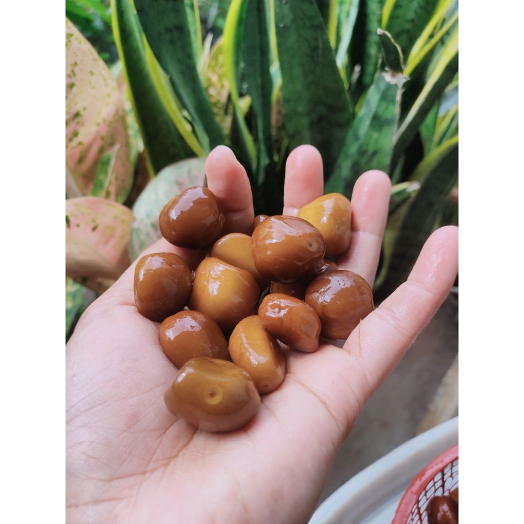 BIJI salak pondoh 1kg