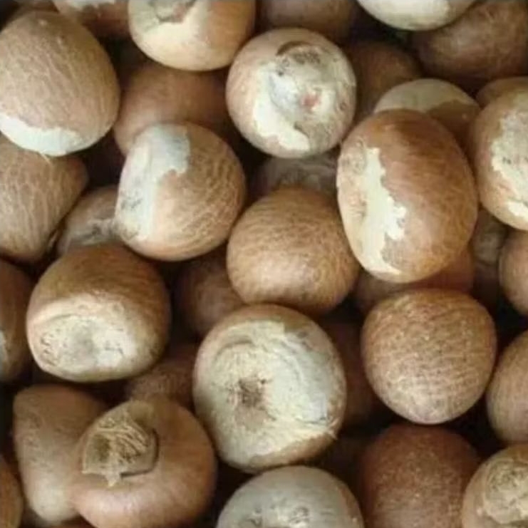 Biji Pinang Kupas Kering Utuh (30 Biji) Banyak Manfaat / Biji Buah Pinang Jambe Dari Banten