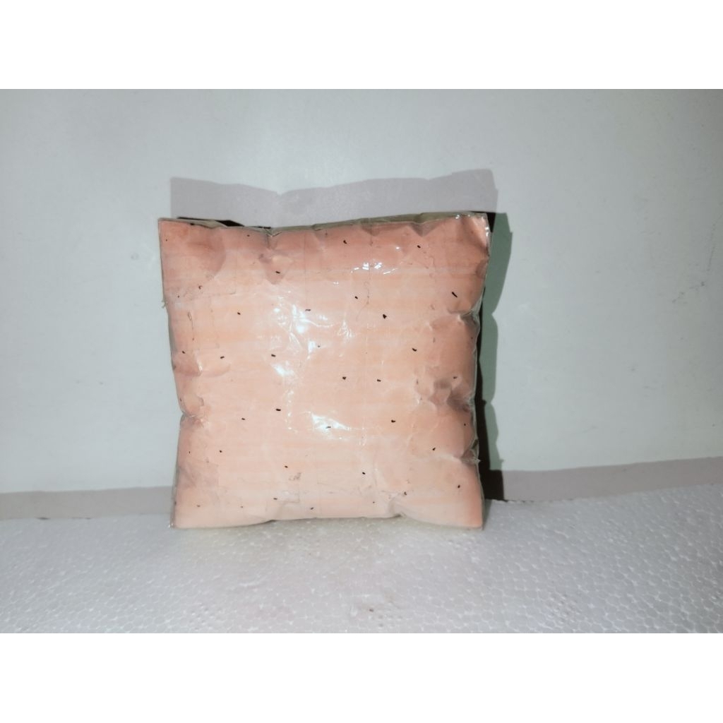 Paper Squishy roti Sticky toast/Strawberry/Blueberry (HANDMADE)