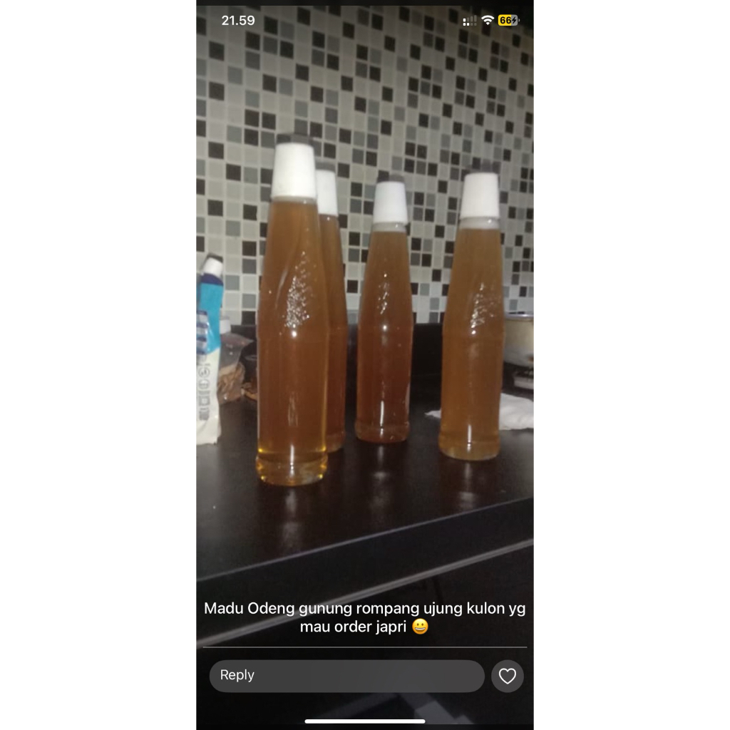 Madu Asli Banten Ujung Kulon