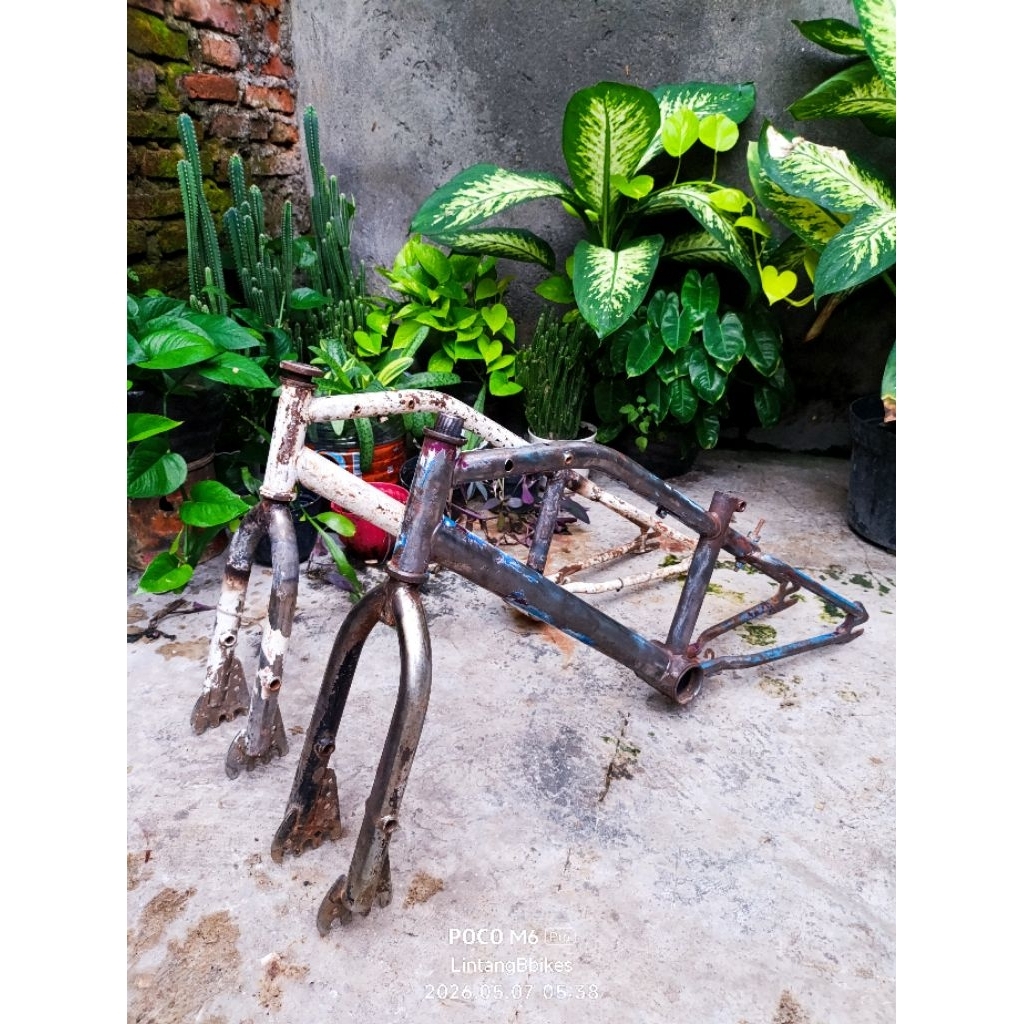 Frame fork BMX Wimcycle METALIZER ring 20