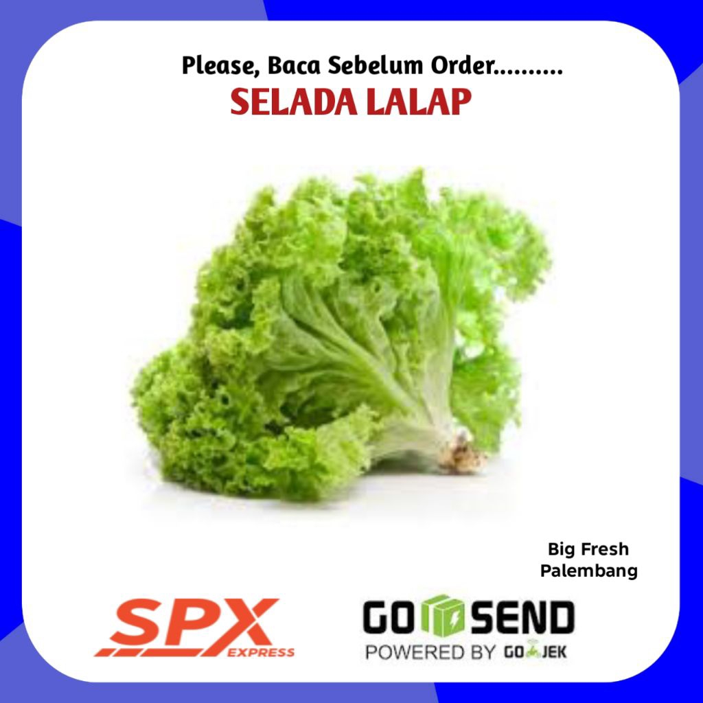Selada Lalap Segar - Toko Sayur Sayuran Segar Palembang