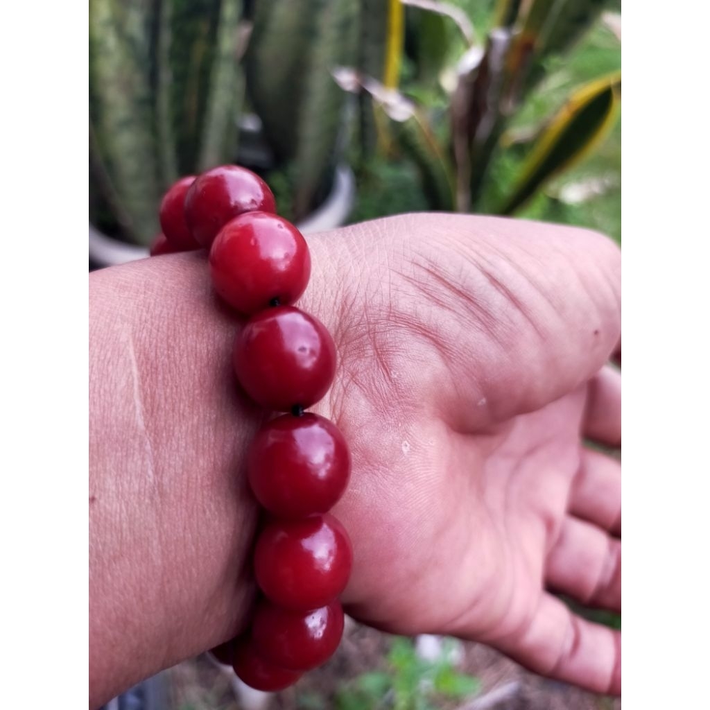 gelang tasbih jumbo kokka jawa merah