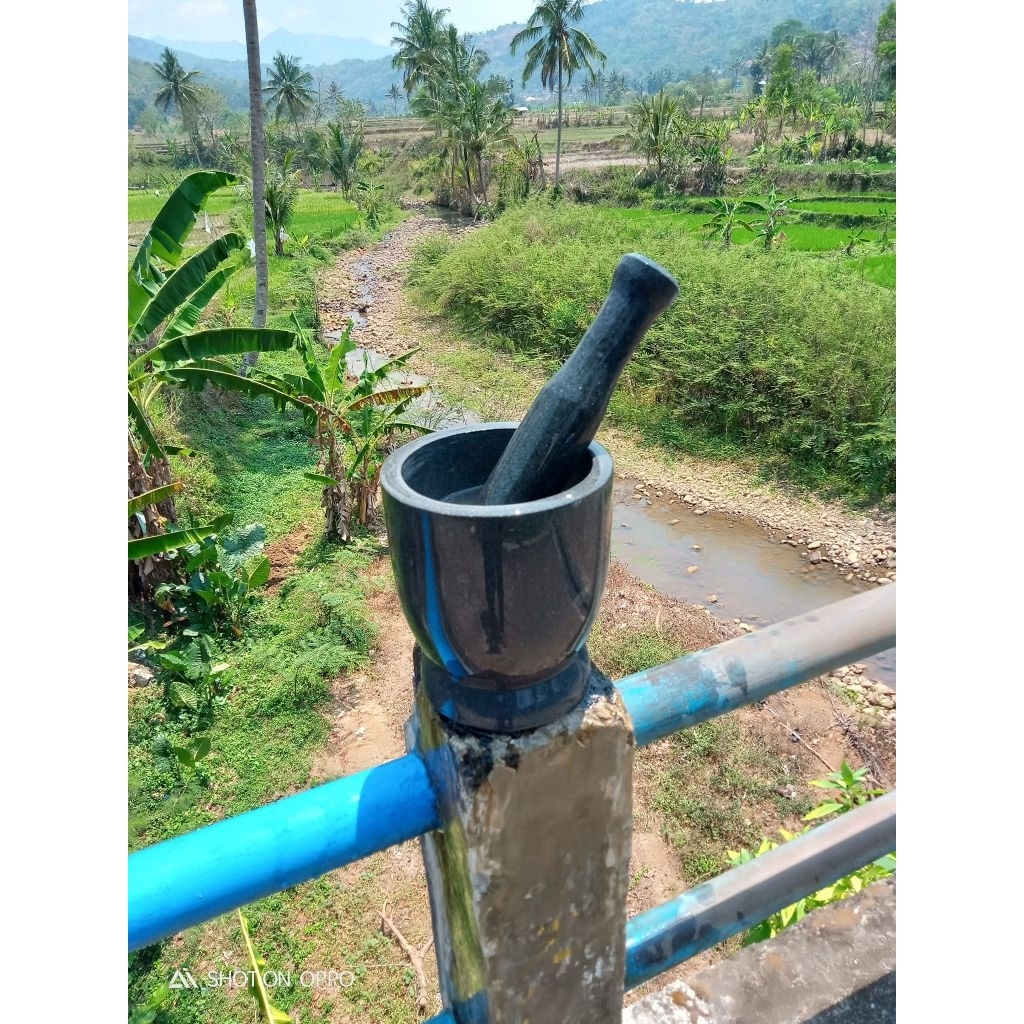 Set Lumpang Batu Asli 20cm | Lesung Halu
