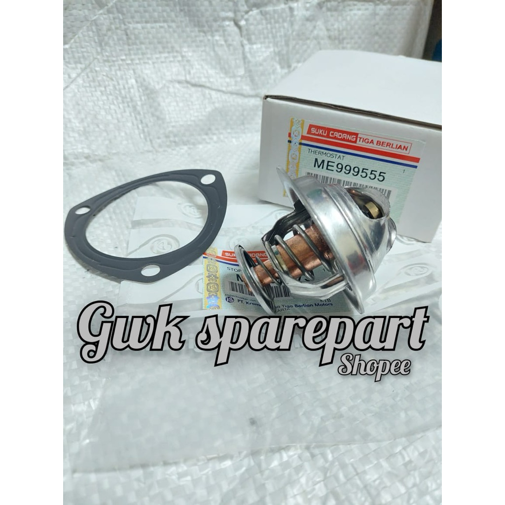 Thermostat Termostat Radiator Canter PS125 Ori