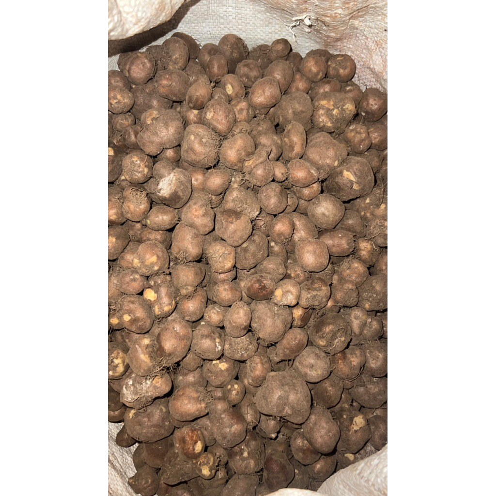 KENTANG HITAM 1kg , KENTANG SUPER 1kg