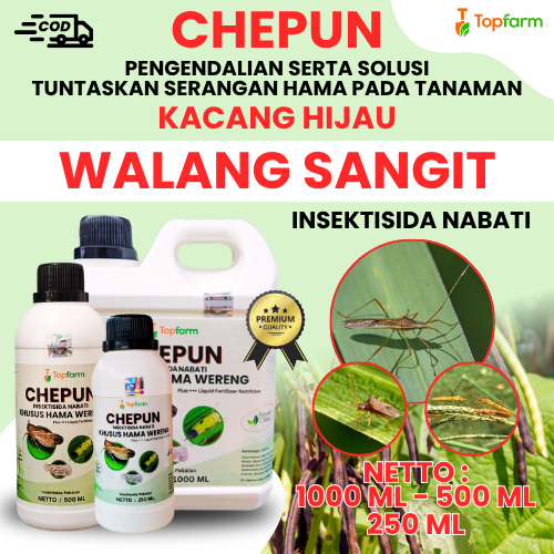 Obat Walang Sangit Kacang Hijau / Racun Pembasmi Walang Sangit / Pestisida Pengendalian Hama Tanaman