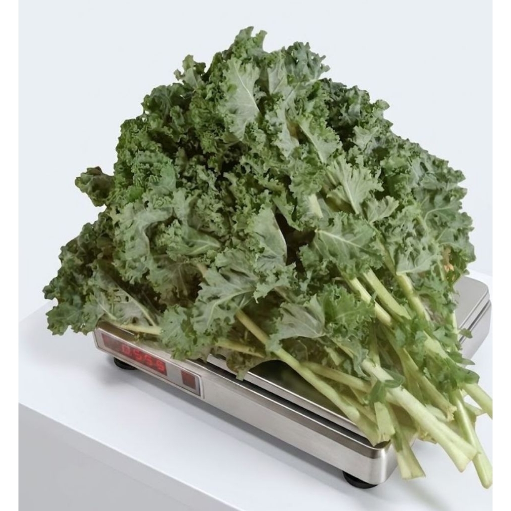 Sayur kale