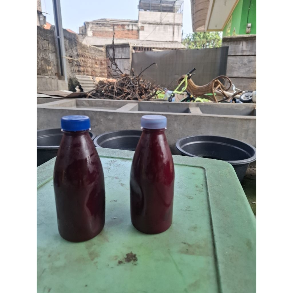 marus darah sapi campuran umpan galatama lele