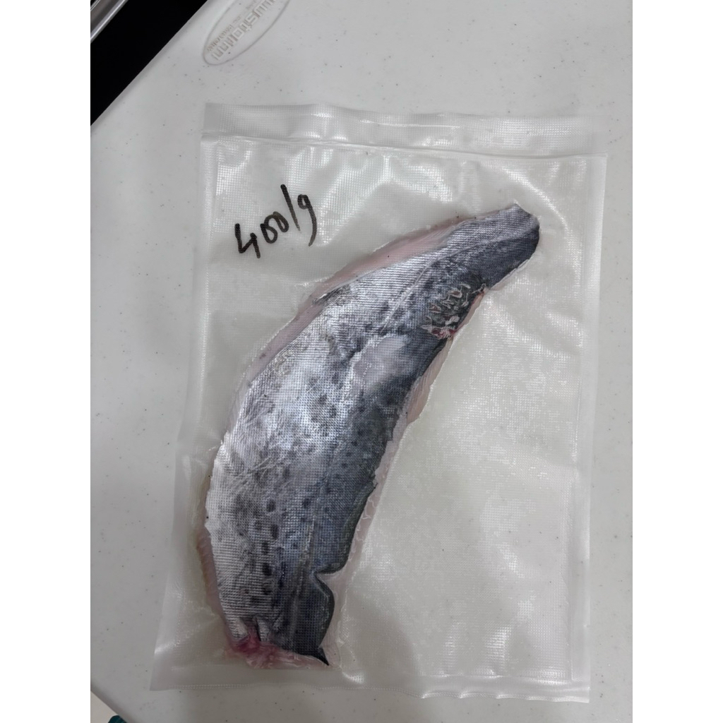 FILLET DAGING IKAN TENGGIRI