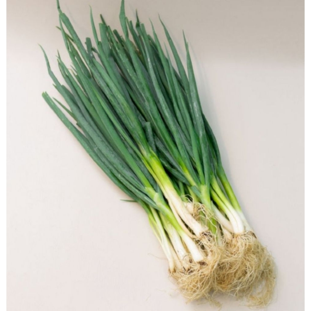 Daun bawang besar