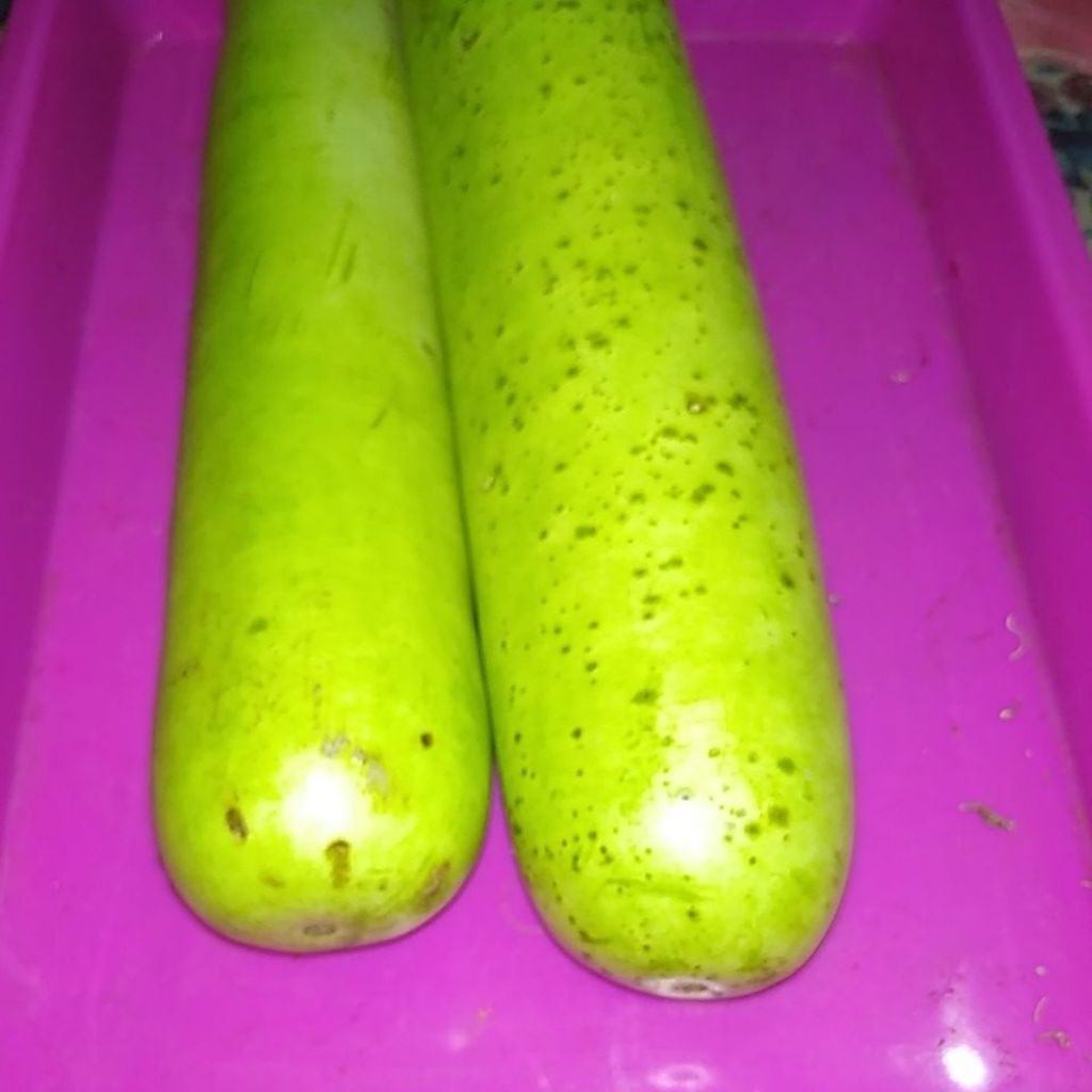 Bahan Sayur buah Belonceng blonceng bloceng petik