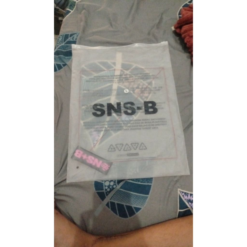 SNSB FAUL