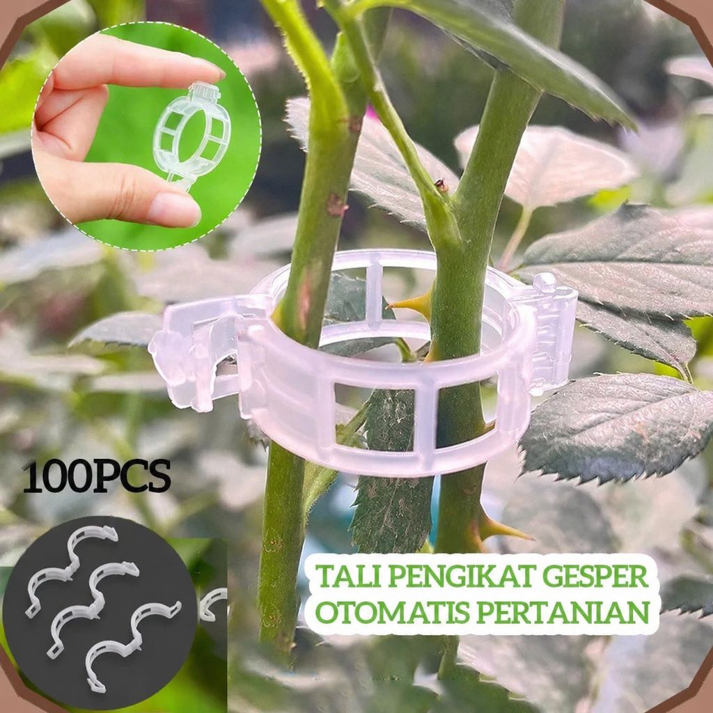 100PCS Alat pengikat batang tanaman merambat, gesper pengikat cabang, penjepit tanaman merambat, pen