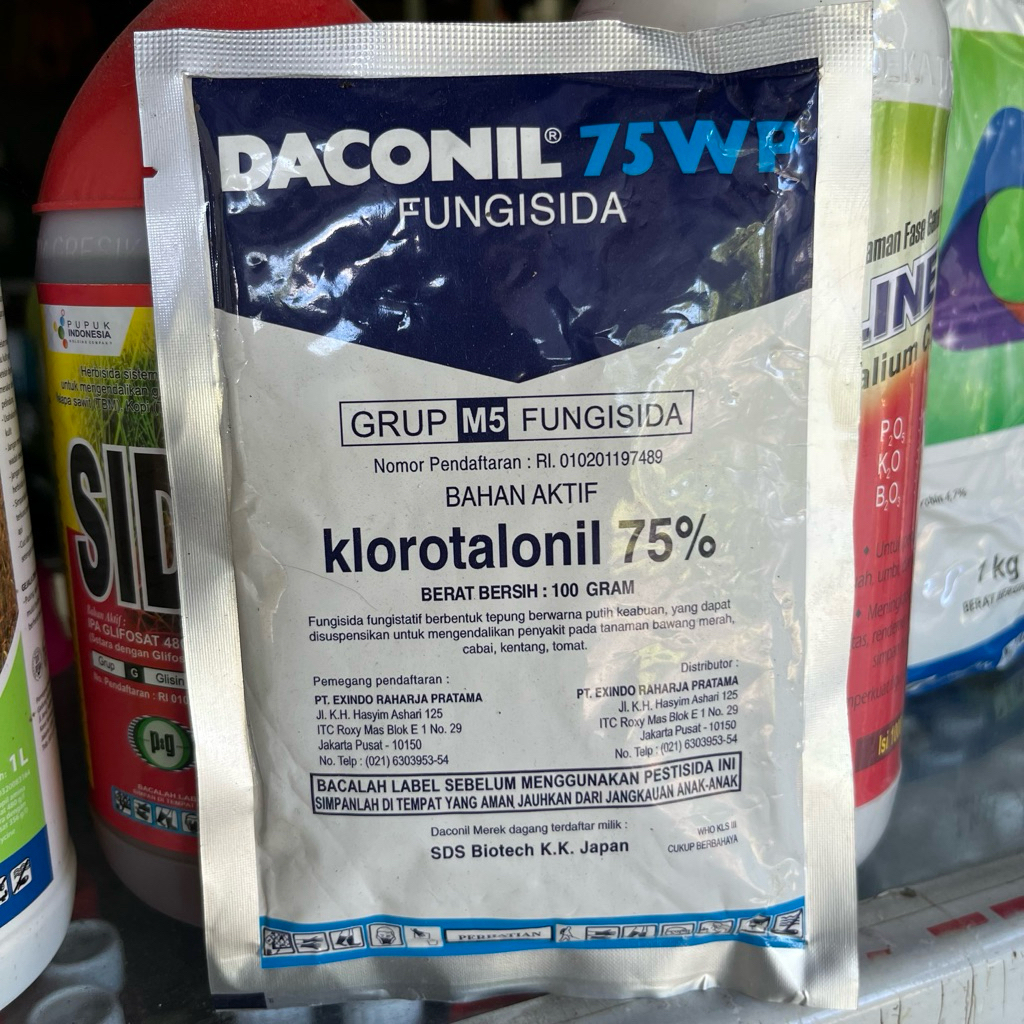 Fungisida daconil 100gram