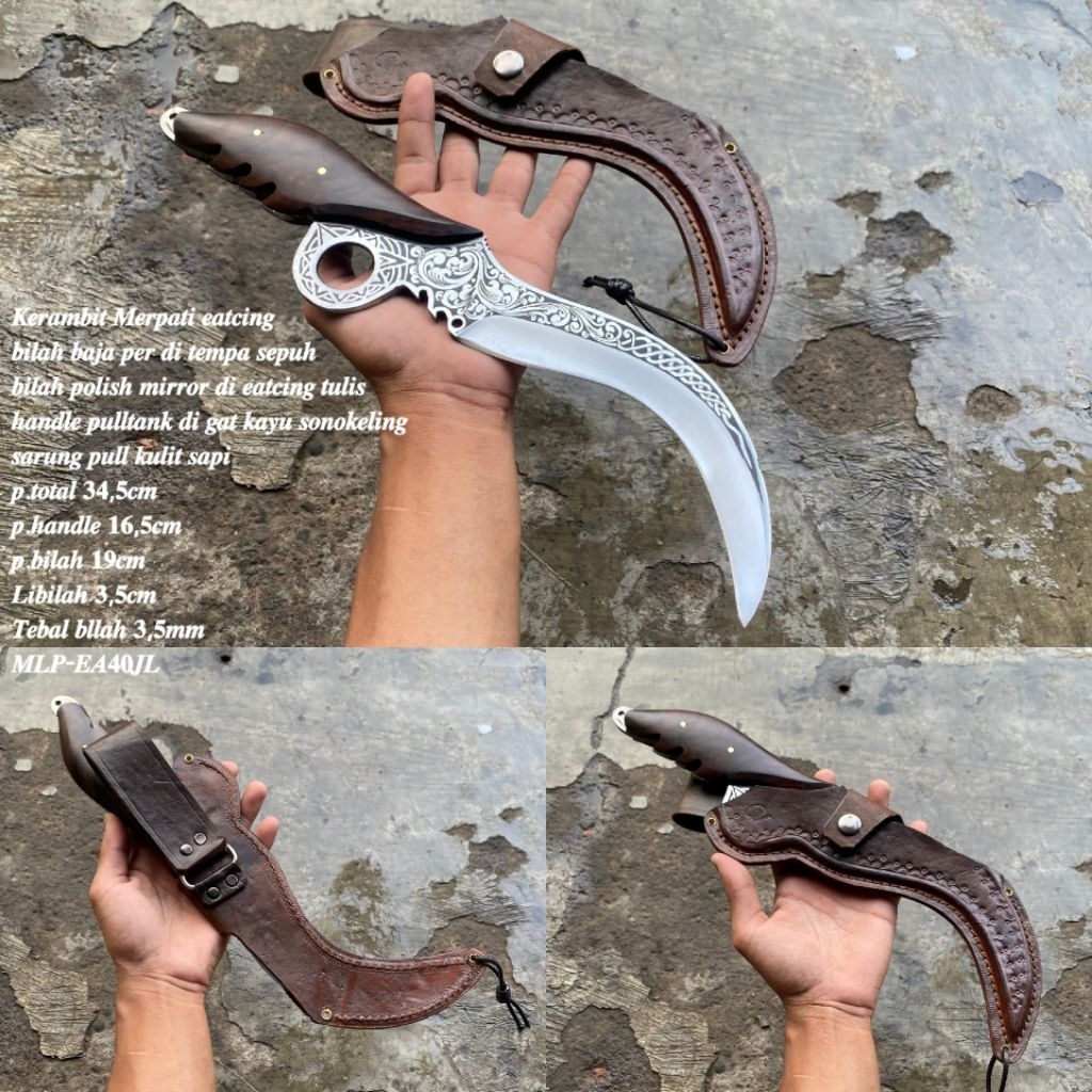 Kudi merpati