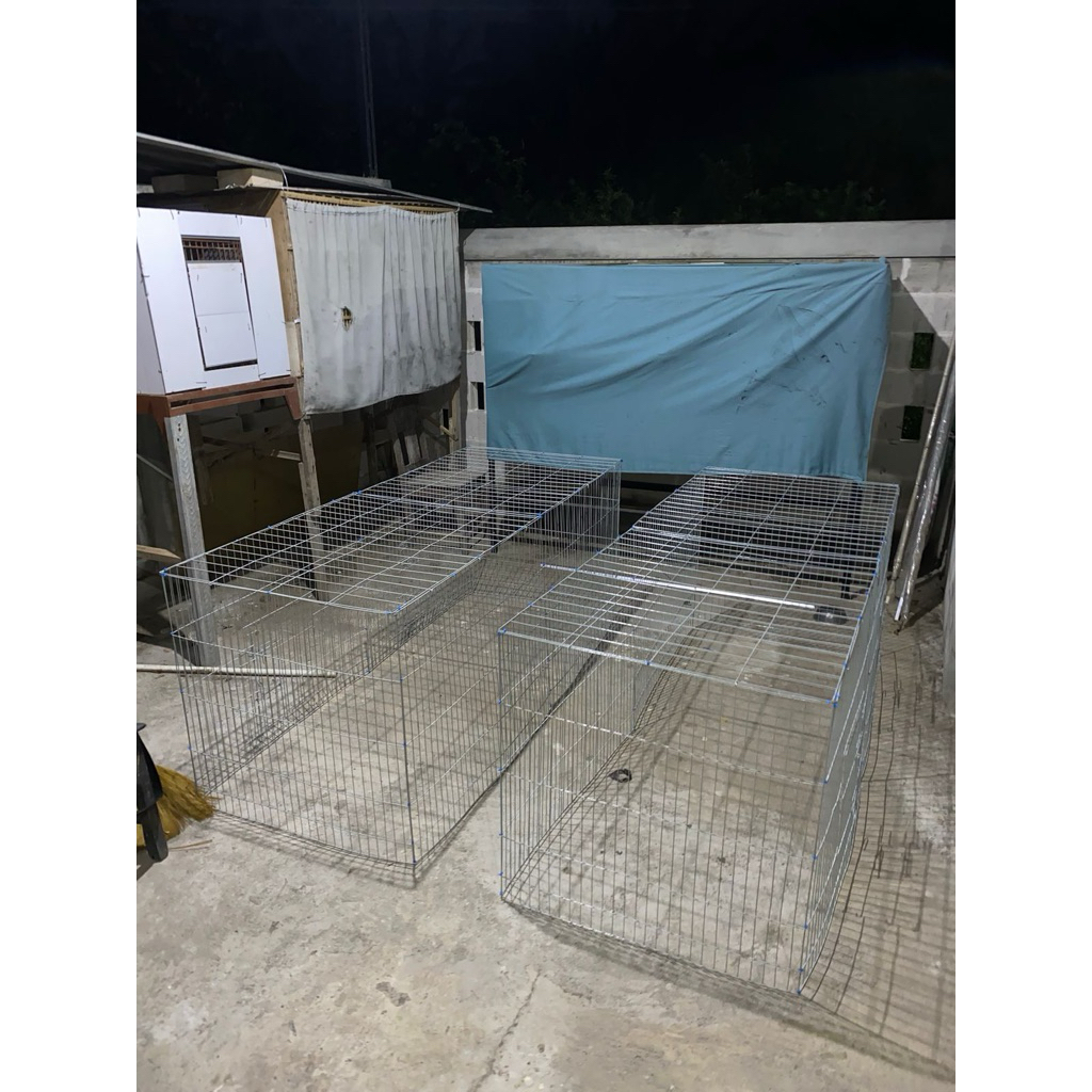 Umbaran Ayam Galvanis Menyala