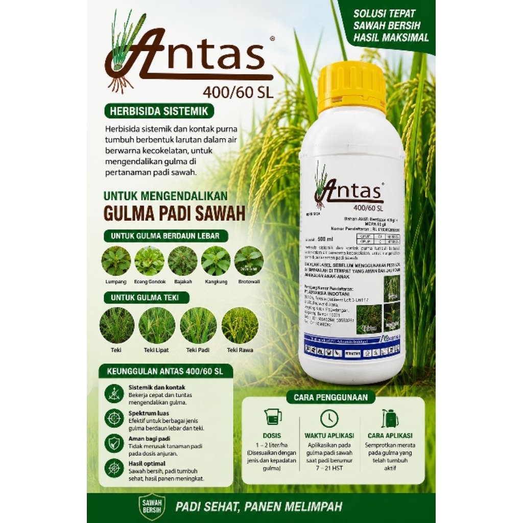 Antas 400/60 SL Herbisida Selektif tanaman Padi