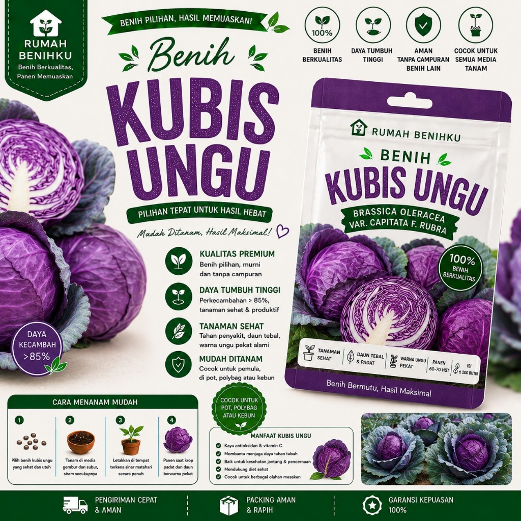 Benih kubis ungu premium