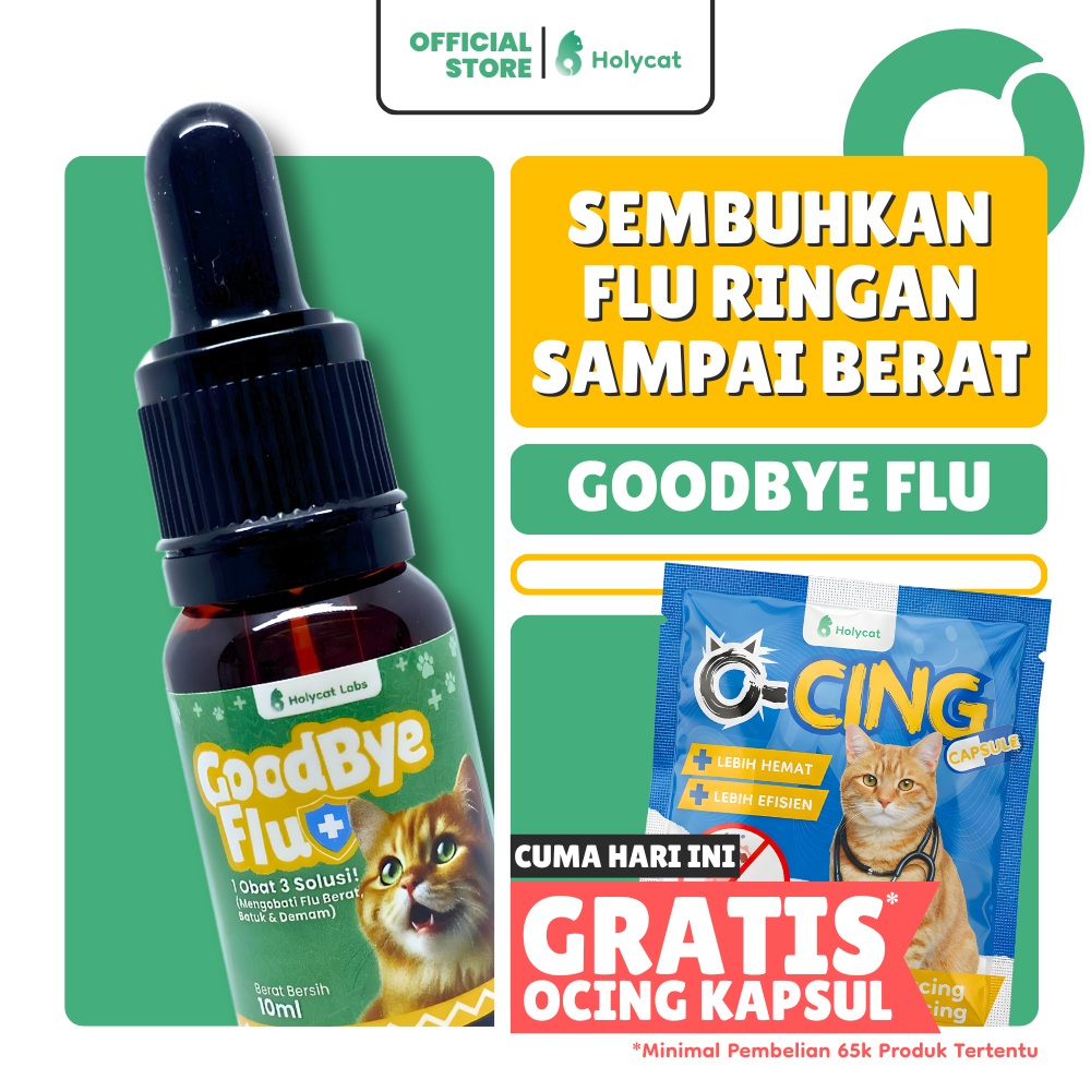 Holycatlabs obat flu pilek demam batuk 3 in 1 buat kucing kitten dewasa ampuh