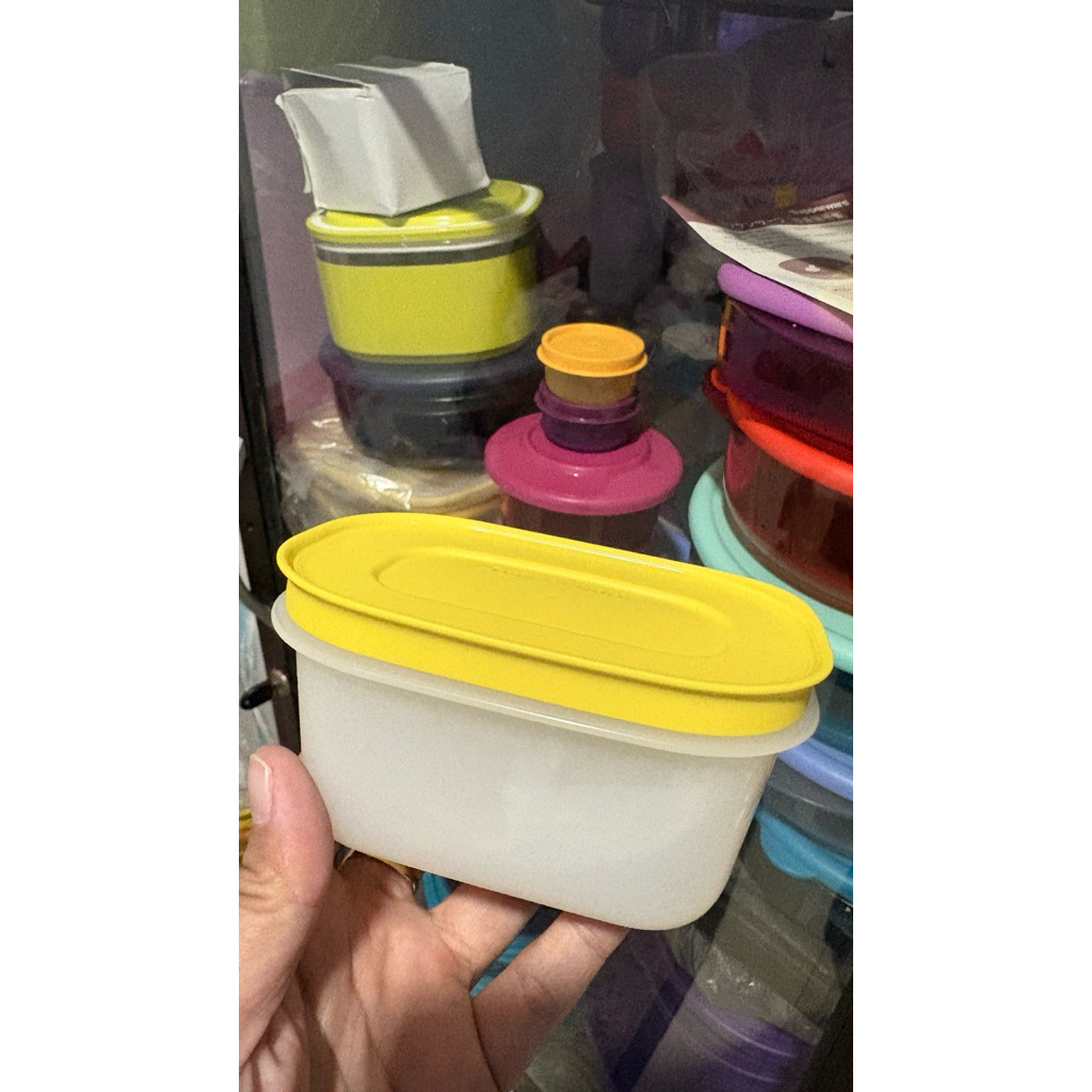 Frozy Cozy Tupperware freezer mini new lentur
