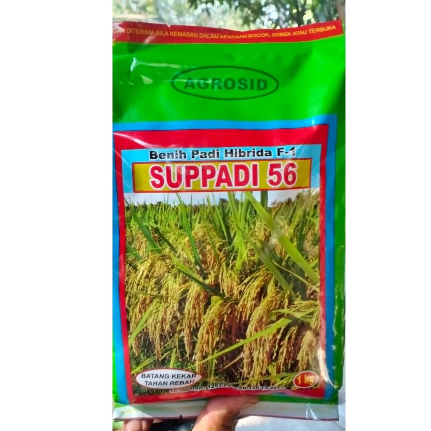 BIBIT BENIH PADI HIBRIDA F1 SUPPADI 56 1KG