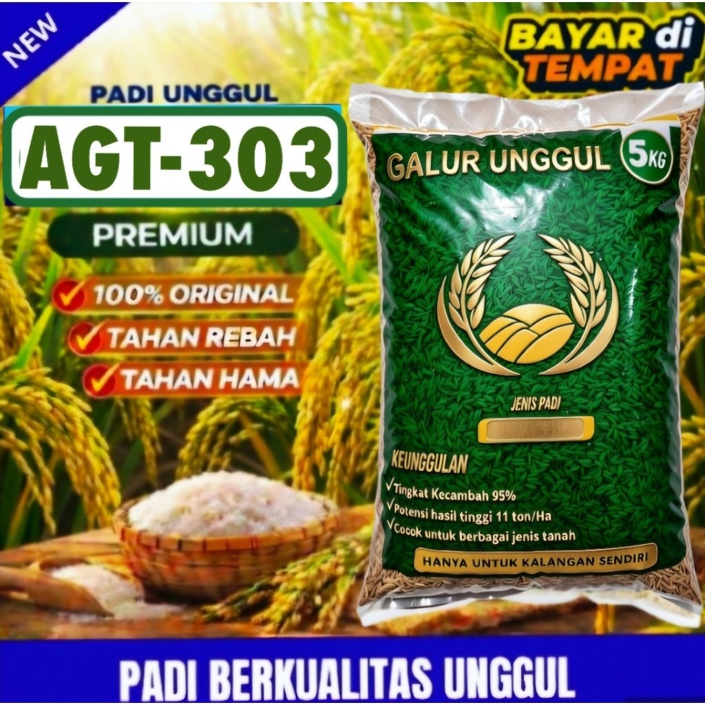 benih padi AGT303