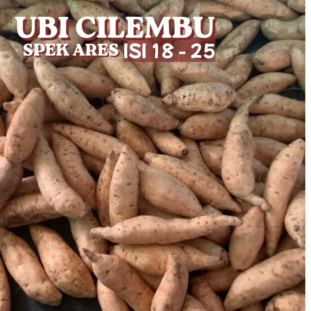 Ubi madu cilembu simadu 1kg simanis kecil isi 18-25 biji spek ares