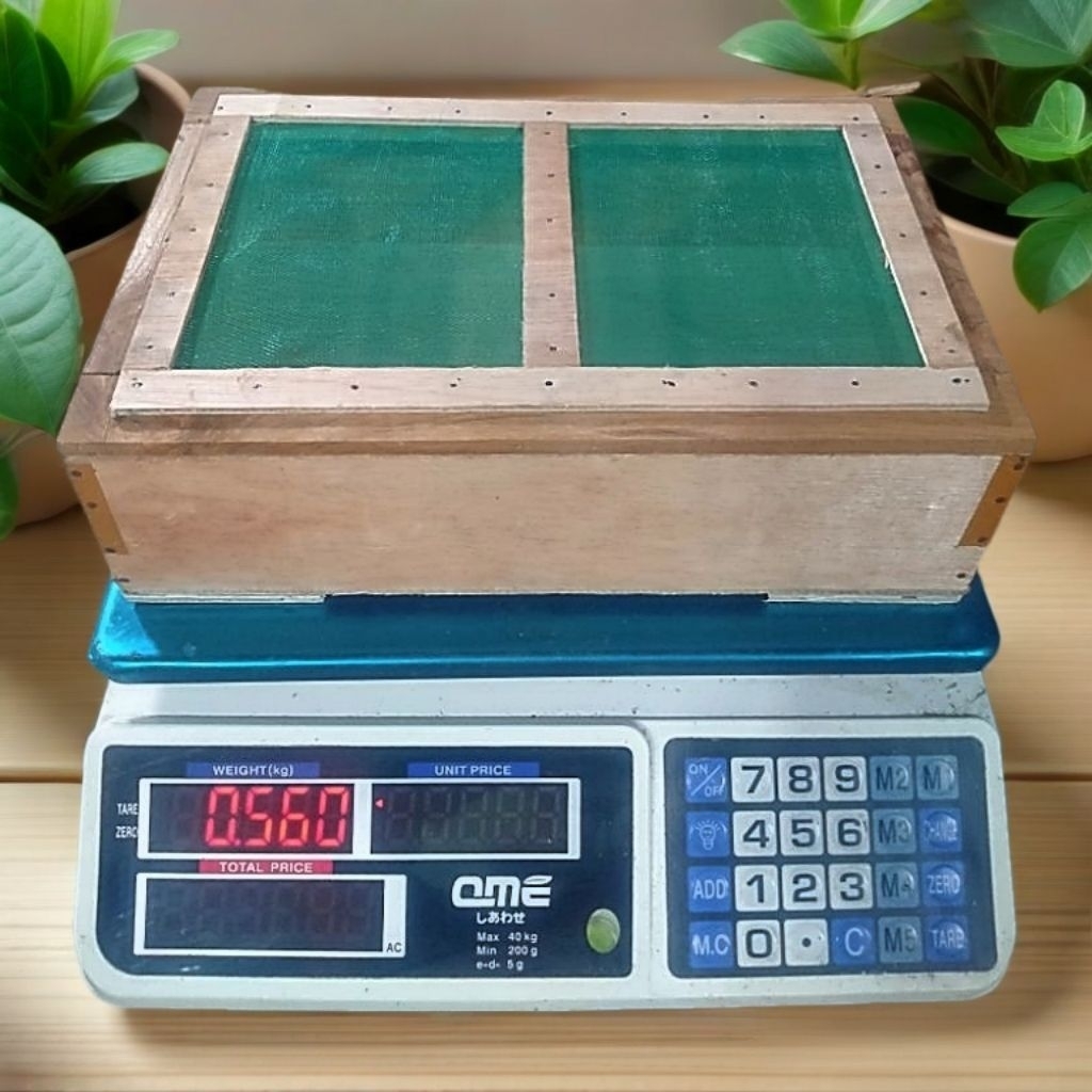 box kecil wadah ulat pakan burung 20x30x7 , 20x20x6